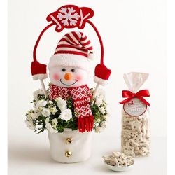 1-800-Flowers Plant Delivery Frosty The Snow Plant W/ Snowflake Chocolate Covered Pretzels