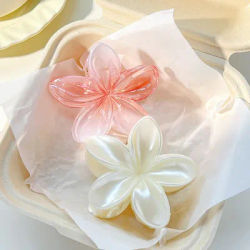 2Pcs Elegant Pearl White Transparent Gradient Flower Shark Claw Frangipani Hair Clip For Women Girl Wedding Hair Accessories