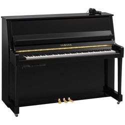 Yamaha B20 SC3 PE