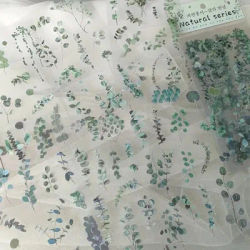6PCS/Pack Transparent PET Stickers Floral Leaves Plants Nature Themed Clear Decals DIY Scrapbooking Journal Collage Materials