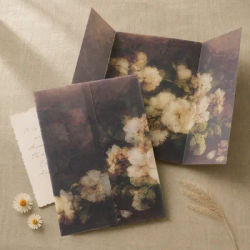 20/50pcs Pre Folded Vellum Jackets for Wedding Invitation Card, for Wedding Invitation Packages,Baby Showers,Birthday Invitation