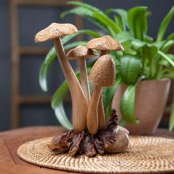 Amanita Union,'Jempinis and Benalu Wood Amanita Sculpture Crafted in Bali'