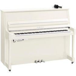 Yamaha B20 SC3 PWHC