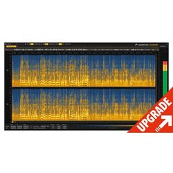 Acon Digital Acoustica 8 Standard UPG St. 7
