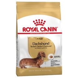 Royal Canin Bassotto (Dachshund) Adult Crocchette - 1,5 kg