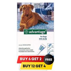 Advantage Extra Large Dogs Over 55 Lbs (Blue) 4 Months