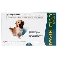 Revolution For Large Dogs 20.1 To 40kg (Green) 6 Pack - 55% Off Today