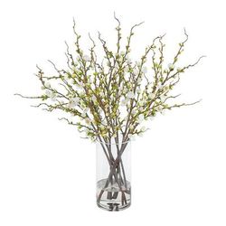 Peach Blossom in Glass Vase - Frontgate