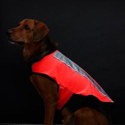 Spot-Lite Dog Reflective Jacket with Orange LED Lights, X-Small