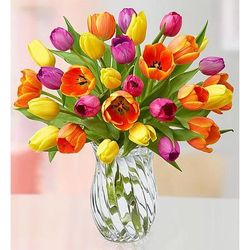 1-800-Flowers Seasonal Gift Delivery Assorted Tulip Bouquet 30 Stems W/ Clear Vase | Happiness Delivered To Their Door