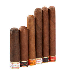 Cain by Oliva Six Cigar Medley - 6-Cigar Sampler