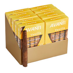 Avanti Mini Cigarillo Maduro Vanilla - Pack of 50