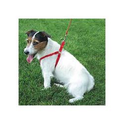 Pet Medium Personalized Harness in Red