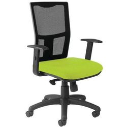 Siège De Bureau Ritz Accoudoir Et Lombaire Réglable - Vert - Manutan Expert