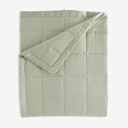 Down-Alternative Blanket by BrylaneHome in Sage (Size FL/QUE)