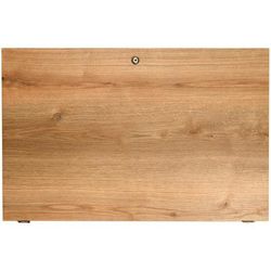 Thon Studio Rack 18U Back Door