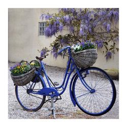 All Weather All Season Outdoor Canvas Art by West Of The Wind in Multi