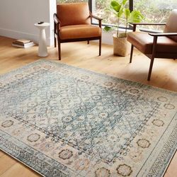 Alexander Home Luxe Shabby Chic Antiqued Distressed Oriental Area Rug