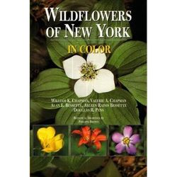 Wildflowers Of New York In Color