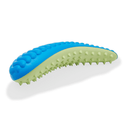 Blue & Green Dental Chew Oval Dog Toy, X-Small