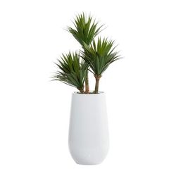 Juniper + Ivory 42 In. x 20 In. Contemporary Artificial foliage White Fiberglass - 64079