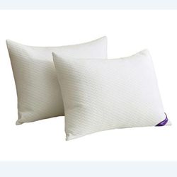 2 Pack Soft Knit Silver Duck Nano Feather Pillows by St. James Home in White (Size KING)