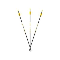 Carbon Express D-Stroyer SD Hunting Arrow 350 6pk 51155