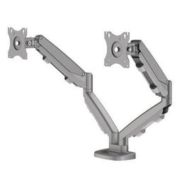 Bras Porte-écran Double Eppa - Gris - Fellowes