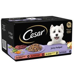 24x150g Mixed Selection Juicy Hotpot Cesar Wet Dog Food