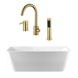 Randolph Morris Axton 59 Inch Acrylic Double Ended Freestanding Bathtub and Faucet Package RMBP39-59-BBF