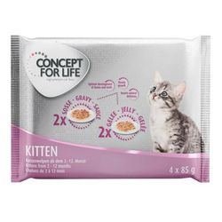 4x85g Kitten Concept for Life Wet Cat Food
