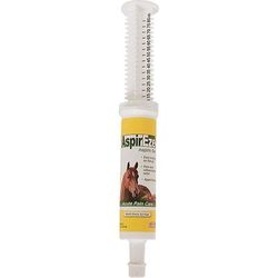 AspirEze Aspirin Gel, 2.7 oz.