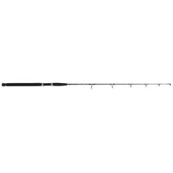 Star Rods Aerial Jigging Spinning Rod Heavy 40-80lb Braid 1 Piece Eva Grips 5'6" EXJS56H