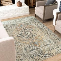 Mohawk Home Rhea Ornamental Medallion Area Rug