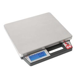 Taylor TE250 250 lb Digital Receiving Scale - 13 1/2" x 11 1/2", Stainless Steel, 100/240 V