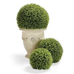 Boxwood Greenery Balls - Greenery Ball, 15" - Frontgate