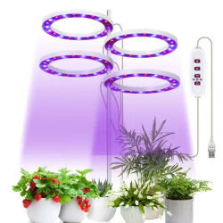 Halo Angel Ring Grow Lights pour petites plantes d'intérieur LED Plant Light Full recommande des