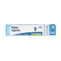 Ribes Nigrum 9Ch Gr 4 g Granuli