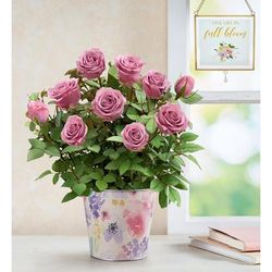 1-800-Flowers Flower Delivery Lovely Lavender Rose Small W/ Suncatcher