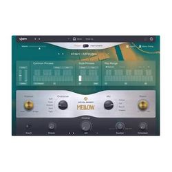 Ujam Virtual Bassist MELLOW 2 Virtual Instrument Plug-In VB-MELLOW2