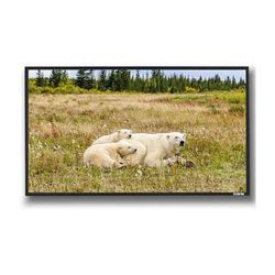 GrandView Used Reference Series Edge 58.8 x 104.6" Fixed Frame Projection Screen RFE120HUHB