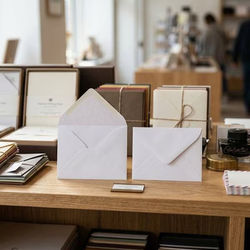 17 Premium Envelopes, White 2 11/16" x 3 11/16" 50 pack
