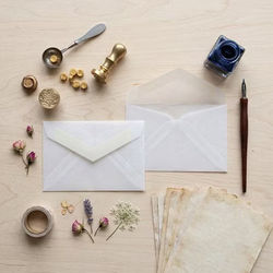 Translucent Vellum Envelopes 2 1/8" x 3 5/8" 50 pack