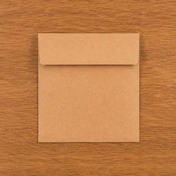 Square Brown Bag Envelopes 5" x 5" 50 pack