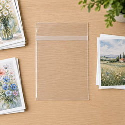 Crystal Clear Premium Laminated Protective Closure Bags 5 7/16" x 7 1/4" 100 pack