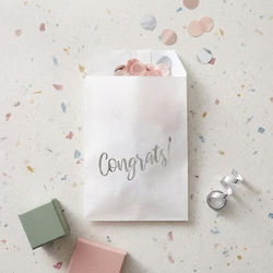 Paper Treat Bags Silver Congrats 3" x 5" 100 pack GPB35SC