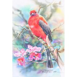 'Realistic Watercolor Painting of Red-Headed Trogon Bird'