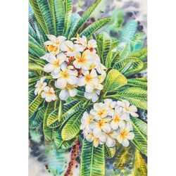 White Frangipani III,'Stretched Impressionist Watercolor Painting of White Flowers'