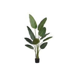 "Artificial Plant- 60" Tall- Bird Of Paradise Tree- Indoor- Faux- Fake- Floor- Greenery- Potted- Decorative- Green Leaves- Black Pot-Monarch Specialties I 9570"