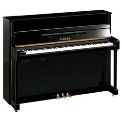 Yamaha B2 TC3 PE